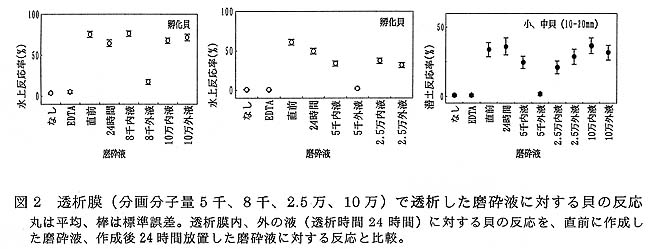 図2 透析膜(分画分子量5千、8千、2.5万、10万)で透析した磨砕液に対する貝の反応