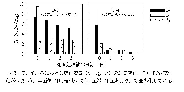 図2 穂,葉,茎における塩付着量(SP,SL,ST)の経日変化