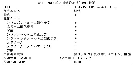 表1 MG62株の形態的及び生理的性質