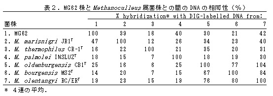 表2 MG62株とMethanoculleus属菌株との間のDNAの相同性(%)