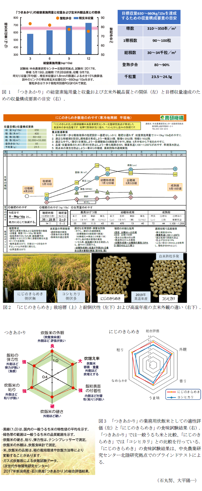 図1 「つきあかり」の総窒素施用量と収量および玄米外観品質との関係(左)と目標収量達成のための収量構成要素の目安(右).,図2 「にじのきらめき」栽培暦(上)と耐倒伏性(左下)および高温年産の玄米外観の違い(右下).,図3 「つきあかり」の業務用炊飯米としての適性評価(左)と「にじのきらめき」の食味試験結果(右).