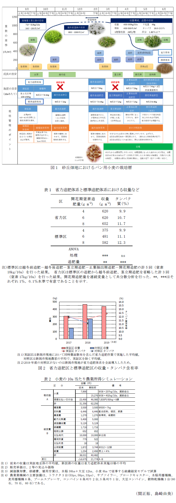 図1 砂丘畑地におけるパン用小麦の栽培暦,表1 省力追肥体系と標準追肥体系における収量など,図2 省力追肥区と標準追肥区の収量・タンパク含有率,表2 小麦の10a当たり農業所得シミュレーション