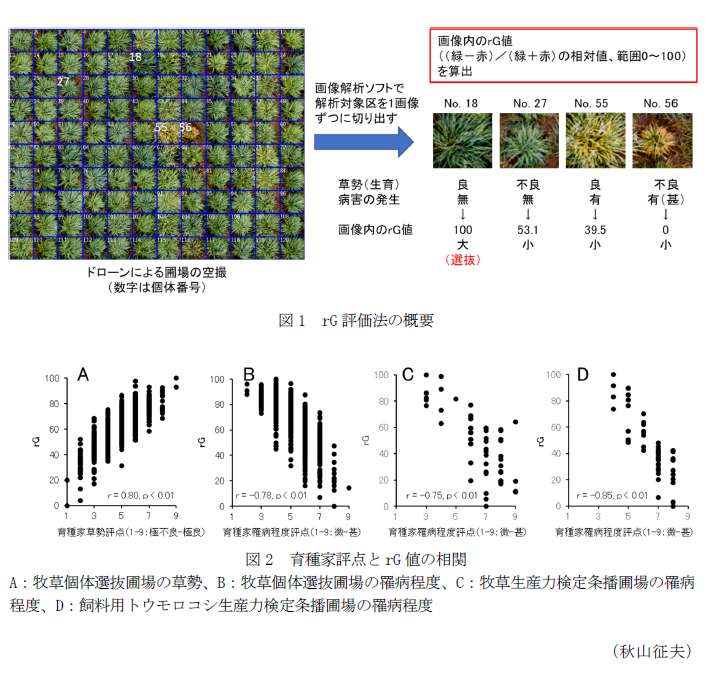 図1 rG評価法の概要,図2 育種家評点とrG値の相関 A:牧草個体選抜圃場の草勢、B:牧草個体選抜圃場の罹病程度、C:牧草生産力検定条播圃場の罹病程度、D:飼料用トウモロコシ生産力検定条播圃場の罹病程度