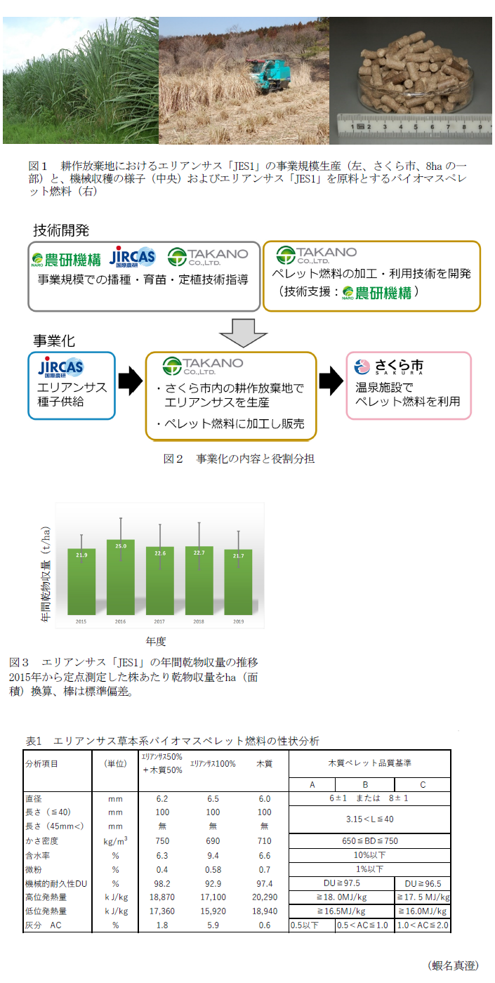 図1 耕作放棄地におけるエリアンサス「JES1」の事業規模生産(左、さくら市、8haの一部)と、機械収穫の様子(中央)およびエリアンサス「JES1」を原料とするバイオマスペレット燃料(右),図2 事業化の内容と役割分担,図3 エリアンサス「JES1」の年間乾物収量の推移,表1 エリアンサス草本系バイオマスペレット燃料の性状分析