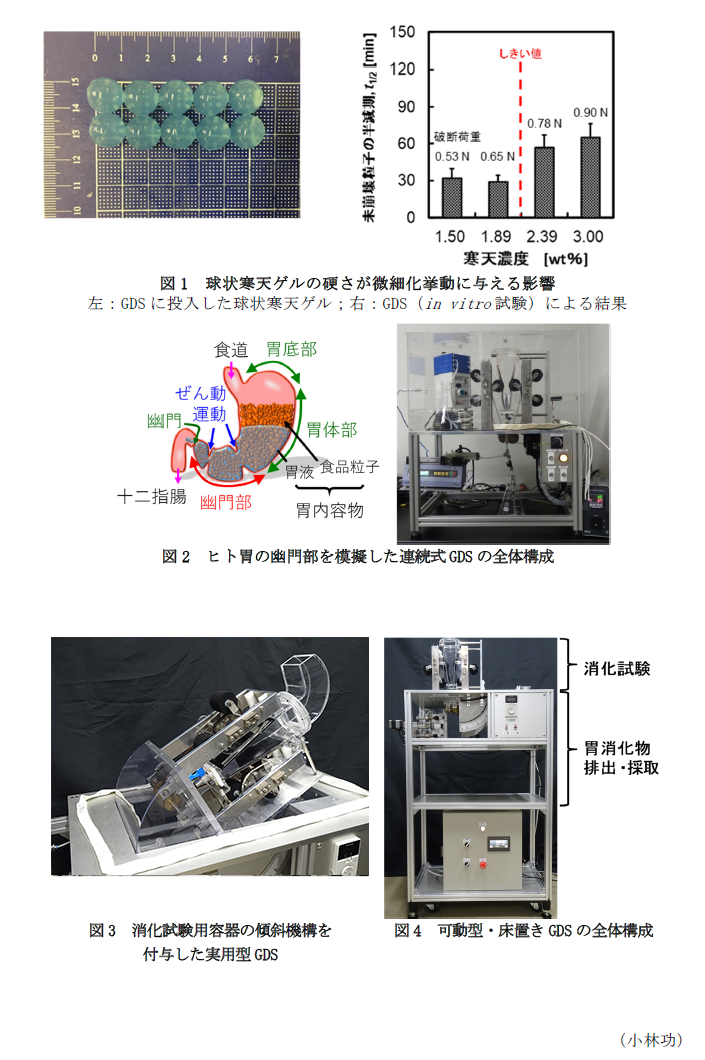 図1 球状寒天ゲルの硬さが微細化挙動に与える影響 左:GDSに投入した球状寒天ゲル;右:GDS(in vitro試験)による結果,図2 ヒト胃の幽門部を模擬した連続式GDSの全体構成,図3 消化試験用容器の傾斜機構を付与した実用型GDS,図4 可動型・床置きGDSの全体構成