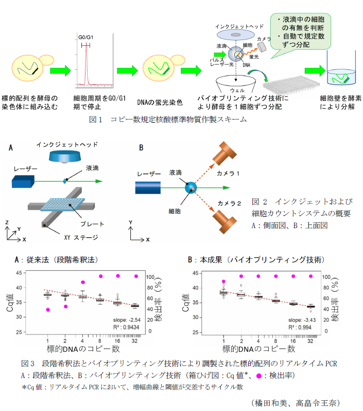 図1 コピー数規定核酸標準物質作製スキーム,図2 インクジェットおよび細胞カウントシステムの概要 A:側面図、B:上面図,図3 段階希釈法とバイオプリンティング技術により調製された標的配列のリアルタイムPCR A:段階希釈法、B:バイオプリンティング技術(箱ひげ図:Cq値*、●:検出率)