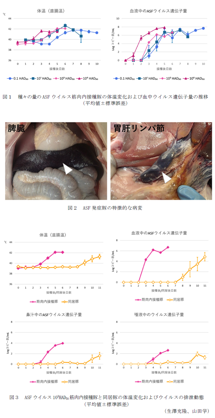図1 種々の量のASFウイルス筋肉内接種豚の体温変化および血中ウイルス遺伝子量の推移,図2 ASF発症豚の特徴的な病変,図3 ASFウイルス103HAD50筋肉内接種豚と同居豚の体温変化およびウイルスの排泄動態(平均値±標準誤差)