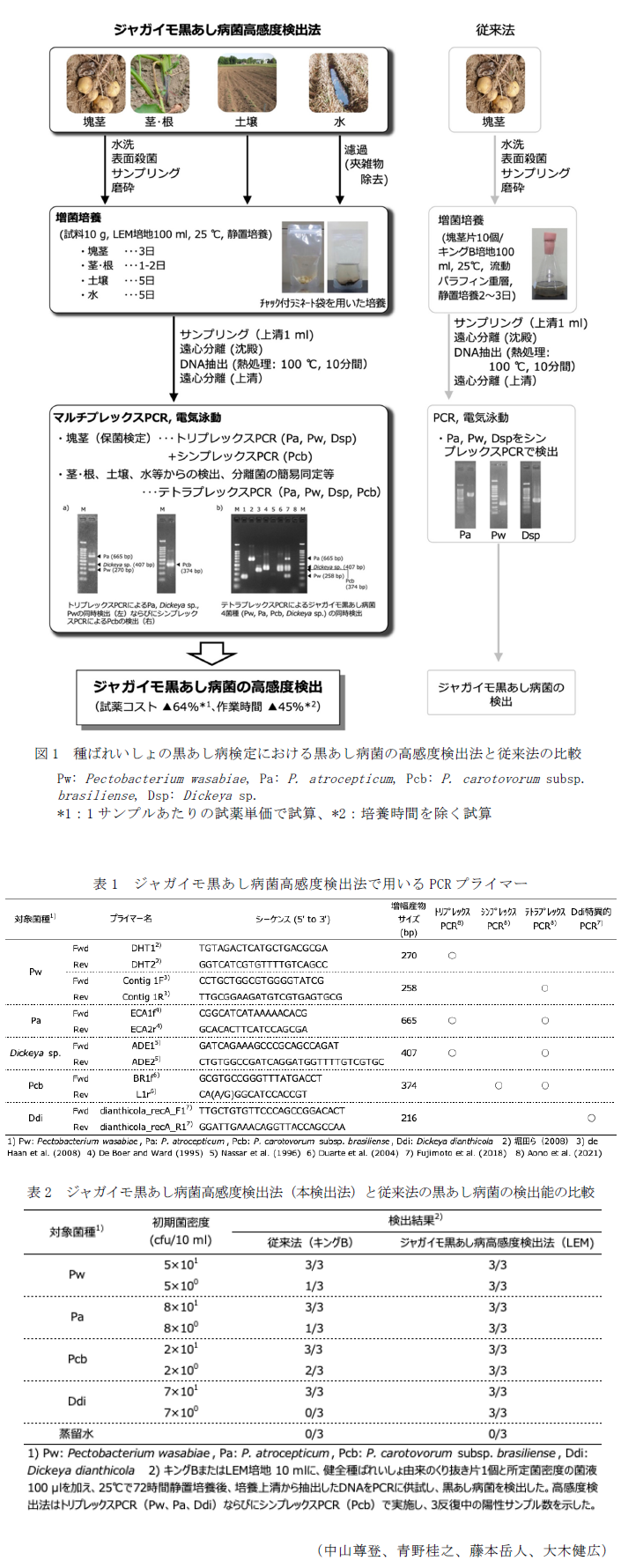 図1 種ばれいしょの黒あし病検定における黒あし病菌の高感度検出法と従来法の比較,表1 ジャガイモ黒あし病菌高感度検出法で用いるPCRプライマー,表2 ジャガイモ黒あし病菌高感度検出法(本検出法)と従来法の黒あし病菌の検出能の比較