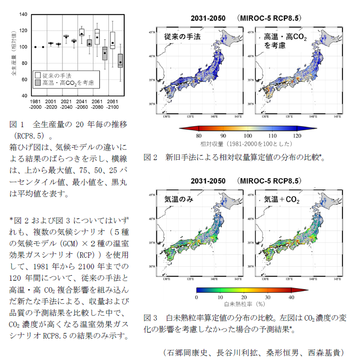 図1 全生産量の20年毎の推移(RCP8.5)。,図2 新旧手法による相対収量算定値の分布の比較*。,図3 白未熟粒率算定値の分布の比較。左図はCO2濃度の変化の影響を考慮しなかった場合の予測結果*。