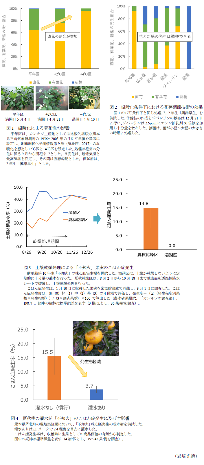 図1 温暖化による着花性の影響,図2 温暖化条件下における花芽調節技術の効果,図3 土壌乾燥処理による「不知火」果実のこはん症発生,図4 夏秋季の灌水が「不知火」のこはん症発生に及ぼす影響