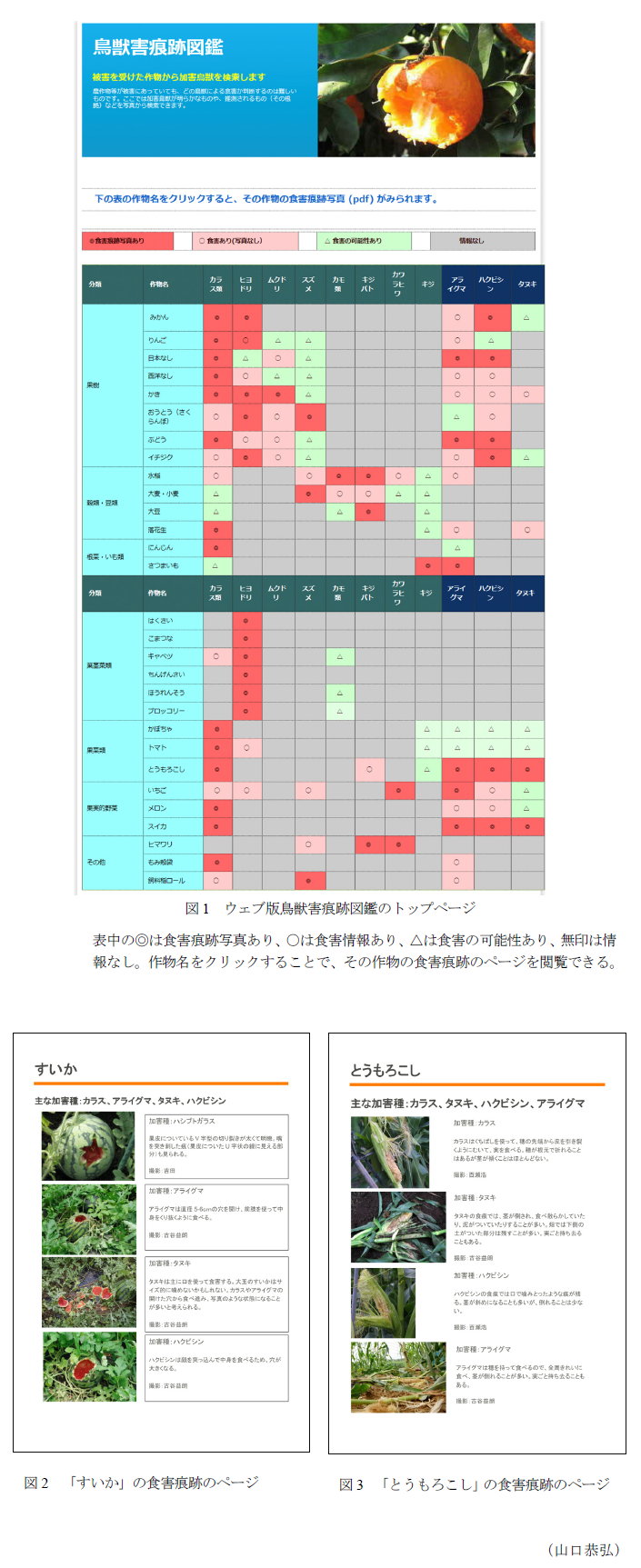 図1 ウェブ版鳥獣害痕跡図鑑のトップページ,図2 「すいか」の食害痕跡のページ,図3 「とうもろこし」の食害痕跡のページ