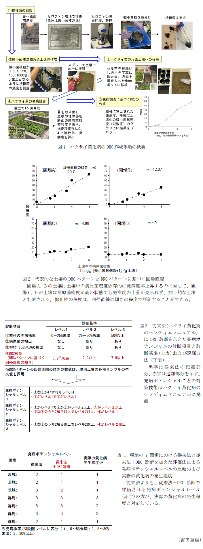 図1 ハクサイ黄化病のDRC作成手順の概要,図2 代表的な土壌のDRCパターンとDRCパターンに基づく回帰直線,図3 従来法(ハクサイ黄化病のヘソディムマニュアル)にDRC診断を加えた発病ポテンシャルの診断項目と診断基準(上表)および評価方法(下表),表1 現地の7圃場における従来法と従来法+DRC診断を加えた評価法による発病ポテンシャルレベルの比較および実際の黄化病の発生程度