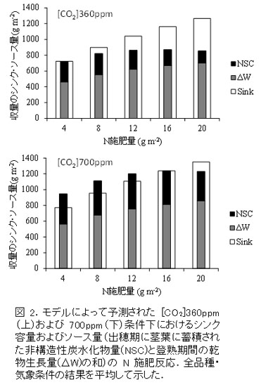 図2.モデルによって予測された [CO2]360ppm(上)および700ppm(下)条件下におけるシンク容量およびソース量(出穂期に茎葉に蓄積された非構造性炭水化物量(NSC)と登熟期間の乾物生長量(ΔW)の和)のN施肥反応.全品種・気象条件の結果を平均して示した
