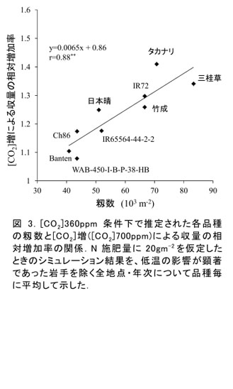 図3.[CO2]360ppm条件下で推定された各品種の籾数と[CO2]増([CO2]700ppm)による収量の相対増加率の関係.N施肥量に20gm-2を仮定したときのシミュレーション結果を、低温の影響が顕著であった岩手を除く全地点・年次について品種毎に平均して示した.