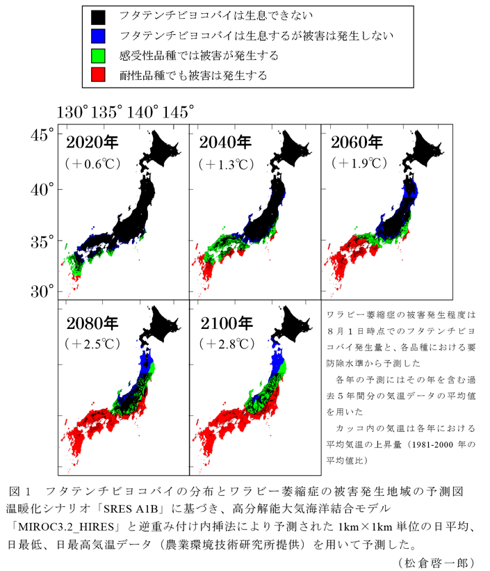 図1