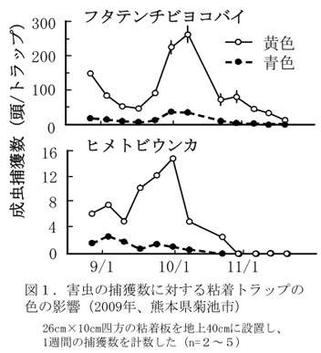 図1 害虫の捕獲数に対する粘着トラップの色の影響