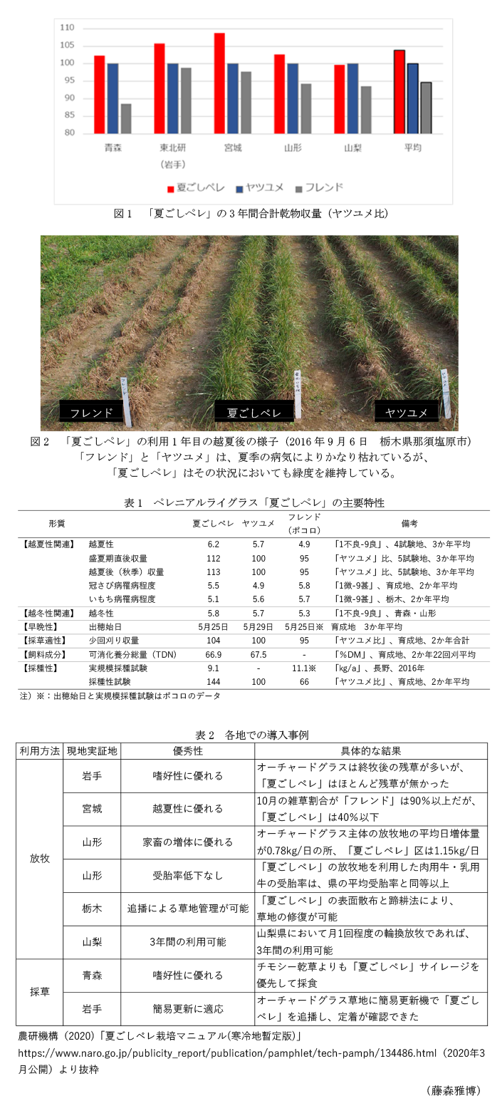 図1 「夏ごしペレ」の3年間合計乾物収量(ヤツユメ比),図2 「夏ごしペレ」の利用1年目の越夏後の様子(2016年9月6日 栃木県那須塩原市),表1 ペレニアルライグラス「夏ごしペレ」の主要特性,表2 各地での導入事例