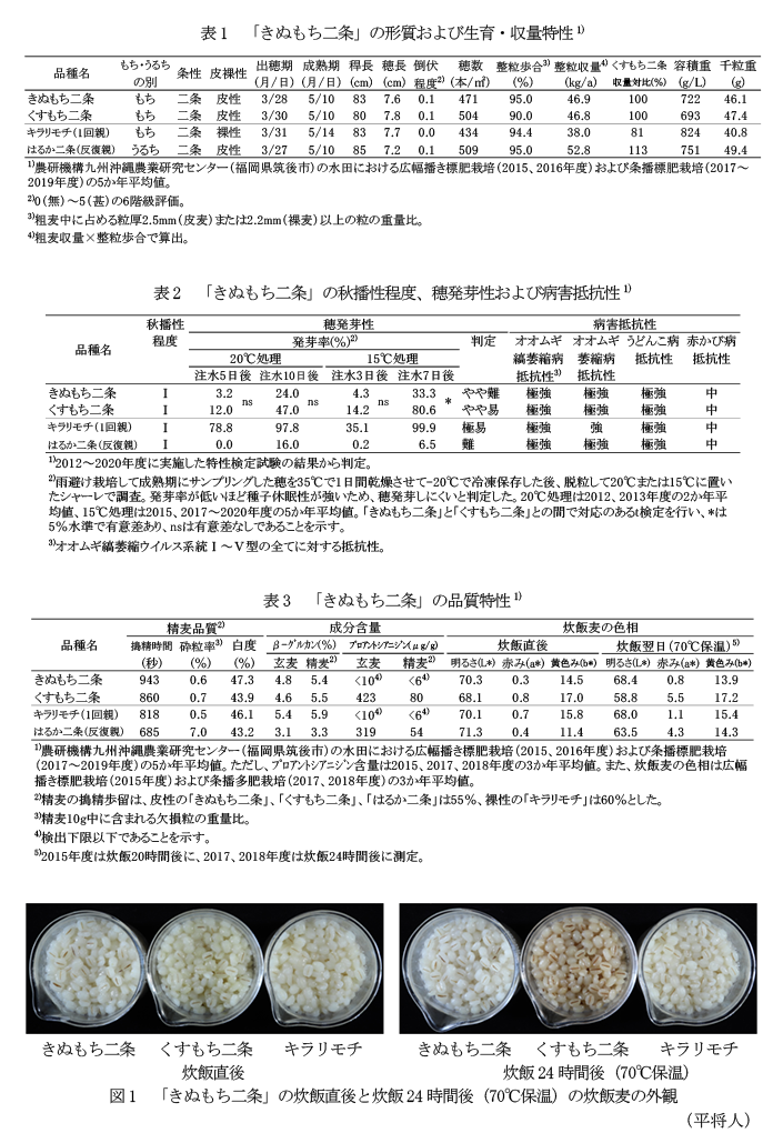 表1 「きぬもち二条」の形質および生育・収量特性1),表2 「きぬもち二条」の秋播性程度、穂発芽性および病害抵抗性,表3 「きぬもち二条」の品質特性,図1 「きぬもち二条」の炊飯直後と炊飯24時間後(70°C保温)の炊飯麦の外観