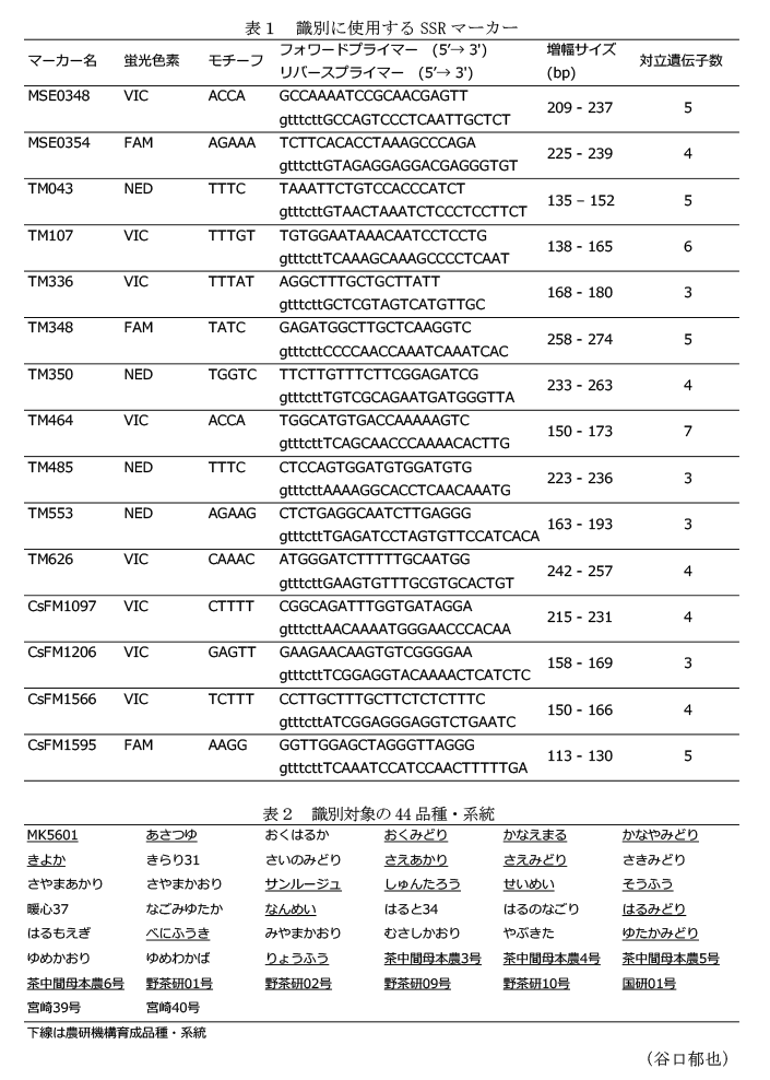 表1 識別に使用するSSRマーカー,表2 識別対象の44品種・系統