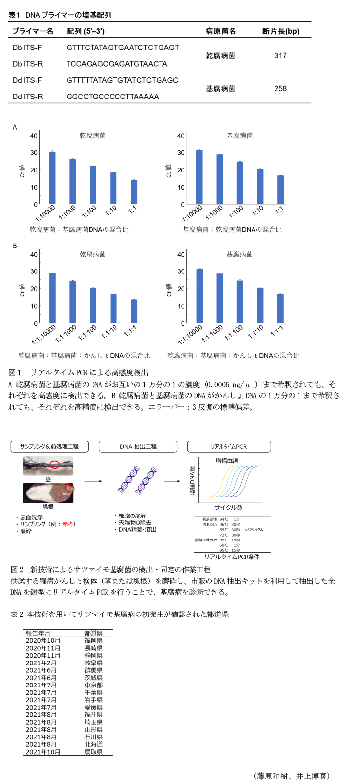 表1 DNAプライマーの塩基配列,図1 リアルタイムPCRによる高感度検出,図2 新技術によるサツマイモ基腐菌の検出・同定の作業工程,表2 本技術を用いてサツマイモ基腐病の初発生が確認された都道県