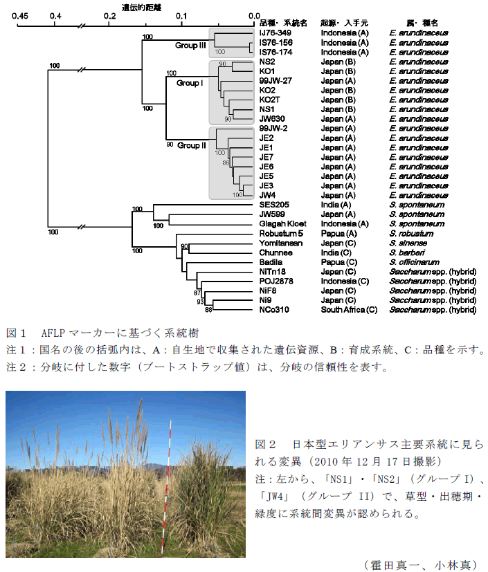 図1～2