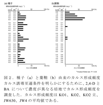 図2.種子(a)と葉鞘(b)由来のカルス形成頻度