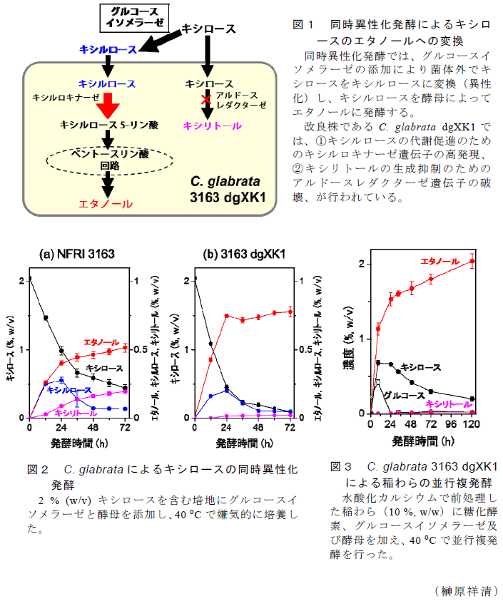 図1～3