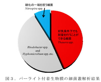 図3.パーライト付着生物膜の細菌叢解析結果