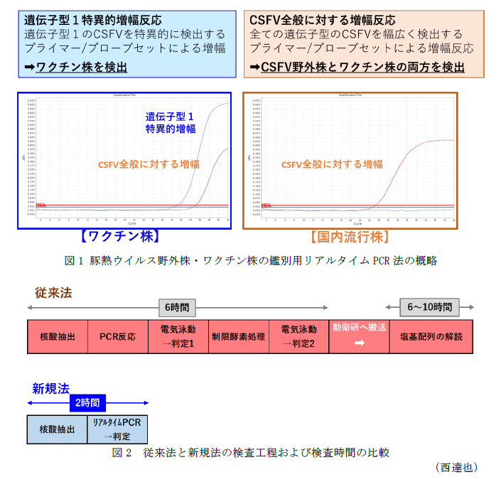 図1 豚熱ウイルス野外株・ワクチン株の鑑別用リアルタイムPCR法の概略,図2 従来法と新規法の検査工程および検査時間の比較