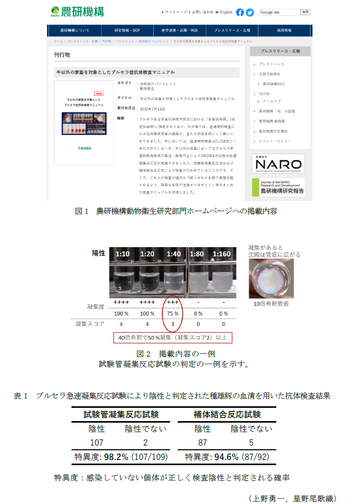 図1 農研機構動物衛生研究部門ホームページへの掲載内容,図2 掲載内容の一例,表1 ブルセラ急速凝集反応試験により陰性と判定された種雄豚の血清を用いた抗体検査結果