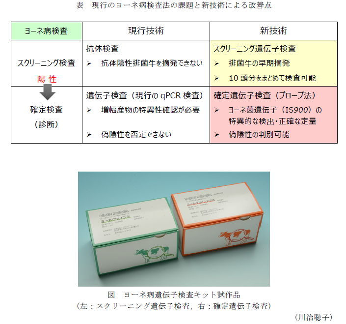 表 現行のヨーネ病検査法の課題と新技術による改善点,図 ヨーネ病遺伝子検査キット試作品
(左:スクリーニング遺伝子検査、右:確定遺伝子検査)