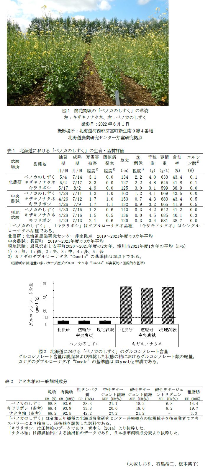 図1 開花期頃の「ペノカのしずく」の草姿,表1 北海道における「ペノカのしずく」の生育・品質評価,図2 北海道における「ペノカのしずく」のグルコシノレート含量,表2 ナタネ粕の一般飼料成分
