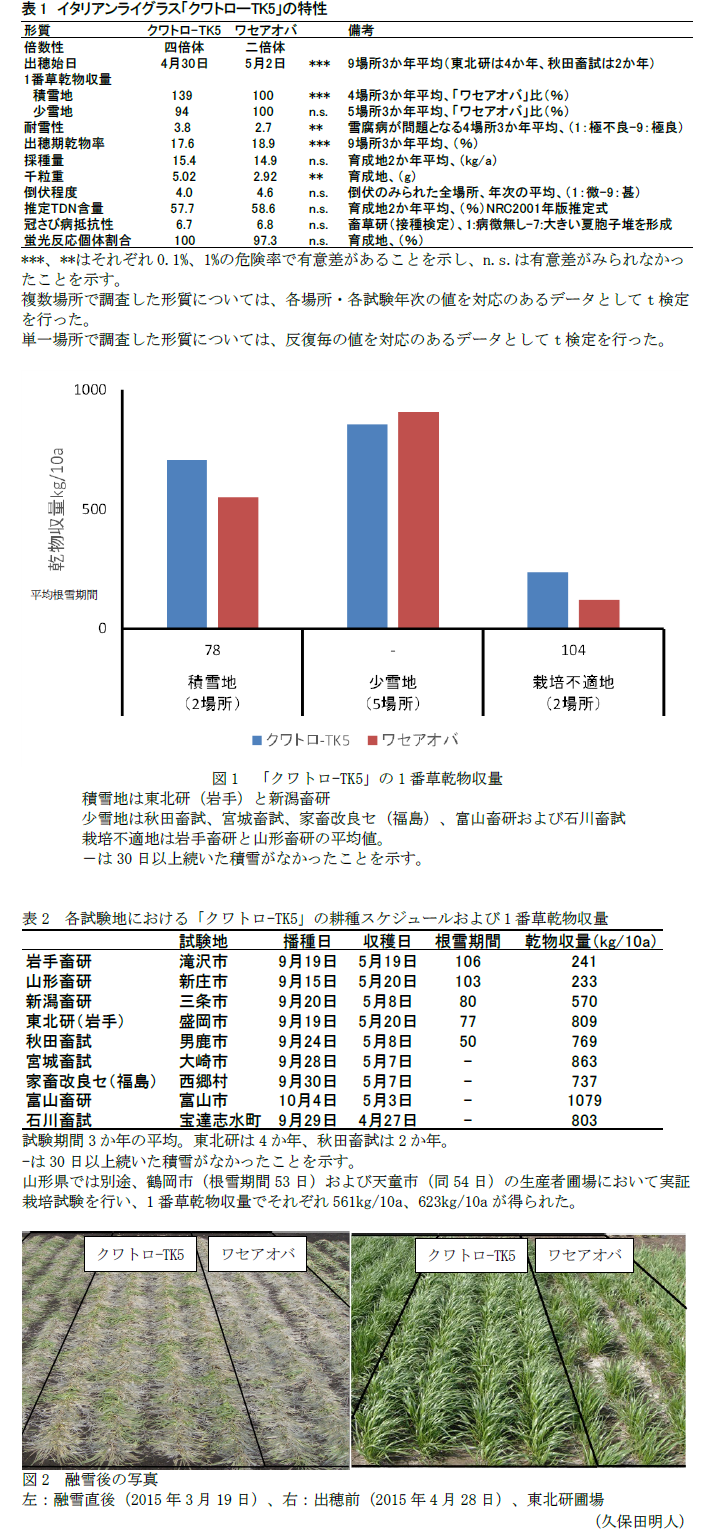 表1 イタリアンライグラス「クワトローTK5」の特性,図1 「クワトロ-TK5」の1番草乾物収量,表2 各試験地における「クワトロ-TK5」の耕種スケジュールおよび1番草乾物収量,図2 融雪後の写真