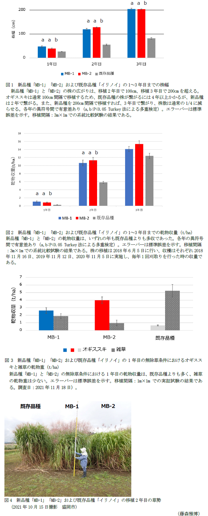 図1 新品種「MB-1」「MB-2」および既存品種「イリノイ」の1～3年目までの株幅,図2 新品種「MB-1」「MB-2」および既存品種「イリノイ」の1～3年目までの乾物収量(t/ha),図3 新品種「MB-1」「MB-2」および既存品種の1年目の無除草条件におけるオギススキと雑草の乾物重(t/ha),図4 新品種「MB-1」「MB-2」および既存品種「イリノイ」の移植2年目の草勢
