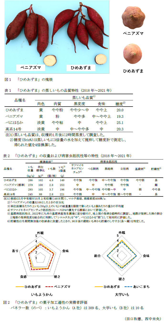 図1 「ひめあずま」の塊根,表1 「ひめあずま」の蒸しいもの品質特性(2018年～2021年),表2 「ひめあずま」の収量および病害虫抵抗性等の特性(2018年～2021年),図2 「ひめあずま」の菓子加工適性の実需者評価