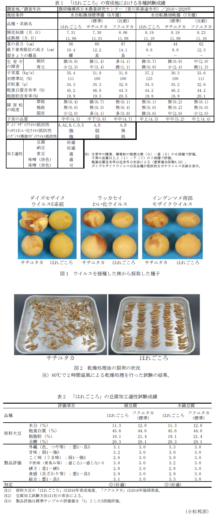 表1 「はれごころ」の育成地における各種試験成績,図1 ウイルスを接種した株から採取した種子,図2 乾燥処理後の裂莢の状況,表2 「はれごころ」の豆腐加工適性試験成績