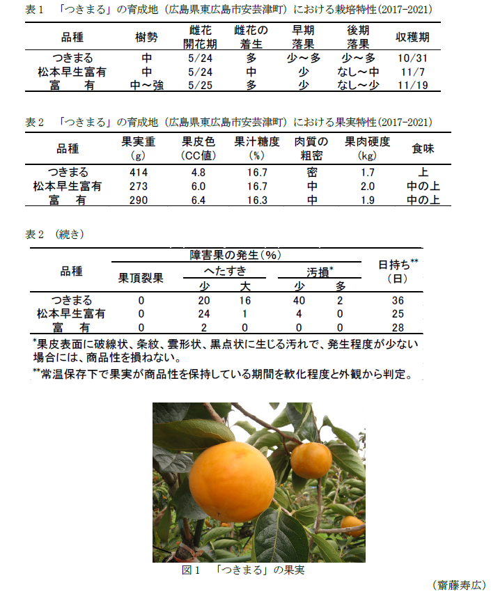 表1 「つきまる」の育成地(広島県東広島市安芸津町)における栽培特性(2017-2021),表2 「つきまる」の育成地(広島県東広島市安芸津町)における果実特性(2017-2021),図1 「つきまる」の果実