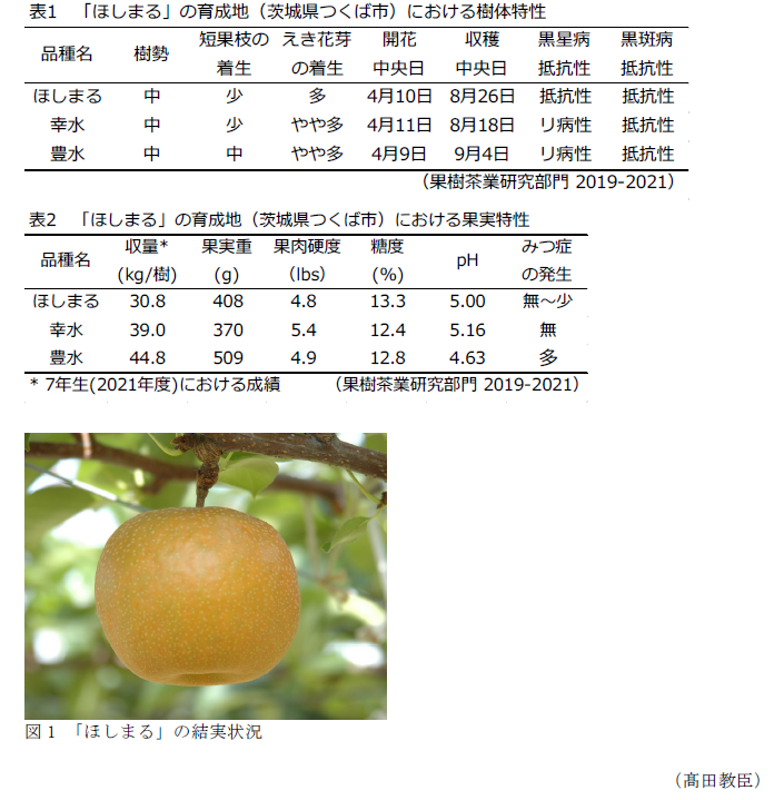 表1～2,図1 「ほしまる」の結実状況