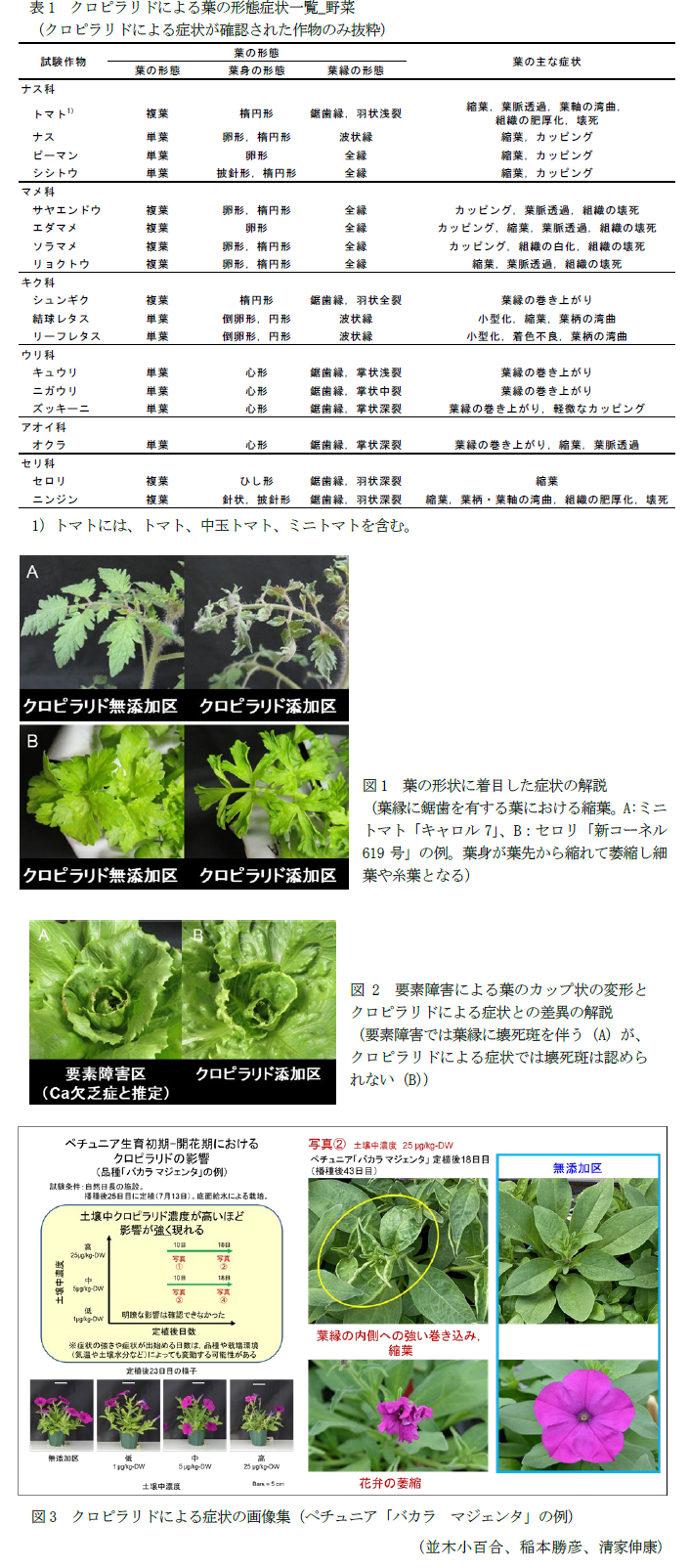 表1 クロピラリドによる葉の形態症状一覧_野菜,図1 葉の形状に着目した症状の解説,図2 要素障害による葉のカップ状の変形とクロピラリドによる症状との差異の解説,図3 クロピラリドによる症状の画像集(ペチュニア「バカラ マジェンタ」の例)