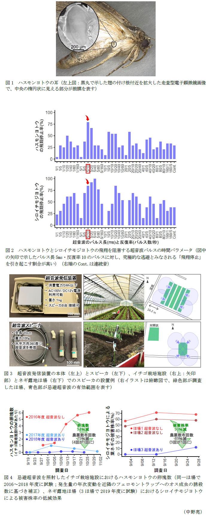 図1 ハスモンヨトウの耳,図2 ハスモンヨトウとシロイチモジヨトウの飛翔を阻害する超音波パルスの時間パラメータ,図3 超音波発信装置の本体(左上)とスピーカ(左下)、イチゴ栽培施設(右上:矢印部)とネギ露地ほ場(右下)でのスピーカの設置例,図4 忌避超音波を照射したイチゴ栽培施設におけるハスモンヨトウの卵塊数