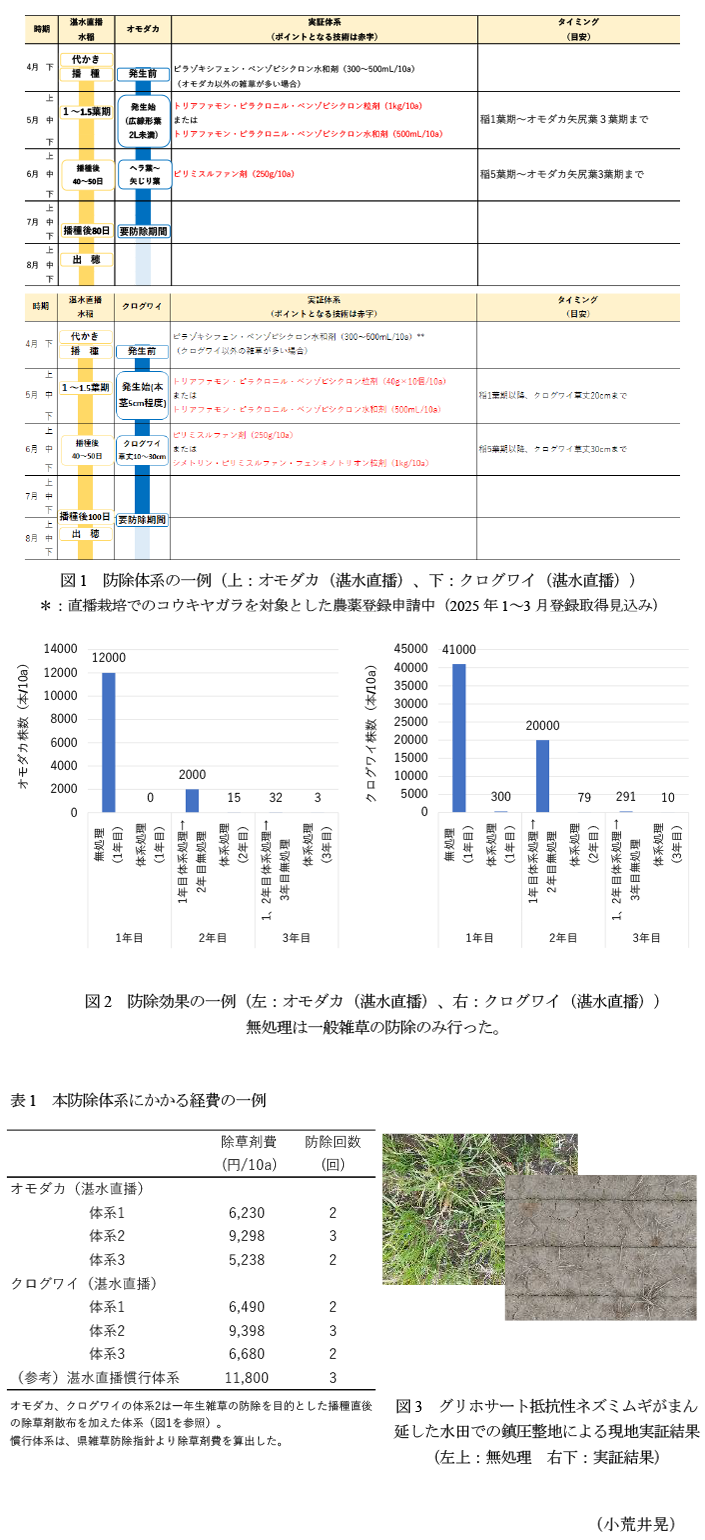 図1 防除体系の一例(上:オモダカ(湛水直播)、下:クログワイ(湛水直播)),図2 防除効果の一例(左:オモダカ(湛水直播)、右:クログワイ(湛水直播)),表1 本防除体系にかかる経費の一例,図3 グリホサート抵抗性ネズミムギがまん延した水田での鎮圧整地による現地実証結果