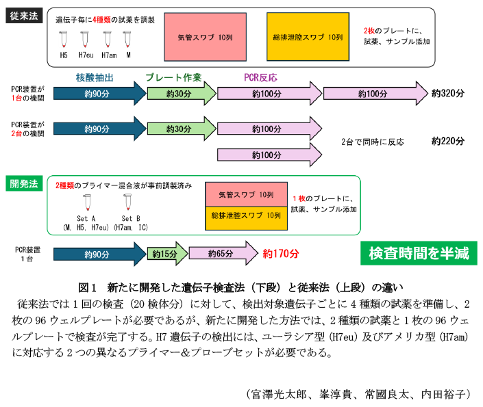 図1 新たに開発した遺伝子検査法(下段)と従来法(上段)の違い