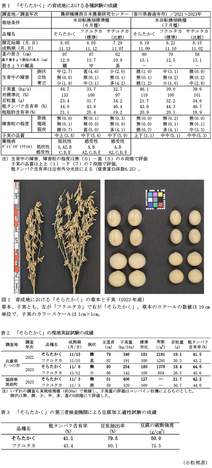 表1 「そらたかく」の育成地における各種試験の成績,図1 育成地における「そらたかく」の草本と子実(2023年産),表2 「そらたかく」の現地実証試験の成績,表3 「そらたかく」の第三者検査機関による豆腐加工適性試験の成績