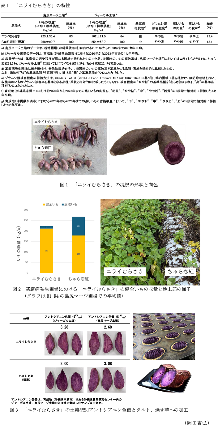 表1 「ニライむらさき」の特性,図1 「ニライむらさき」の塊根の形状と肉色,図2 基腐病発生圃場における「ニライむらさき」の健全いもの収量と地上部の様子,図3 「ニライむらさき」の土壌型別アントシアニン色価とタルト、焼き芋への加工