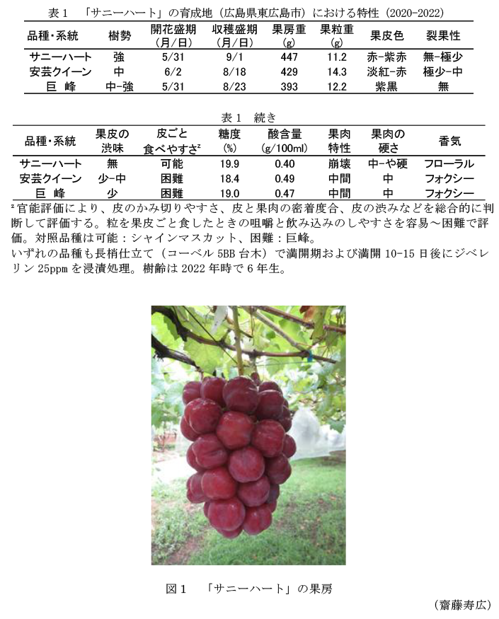表1 「サニーハート」の育成地(広島県東広島市)における特性(2020-2022),図1 「サニーハート」の果房