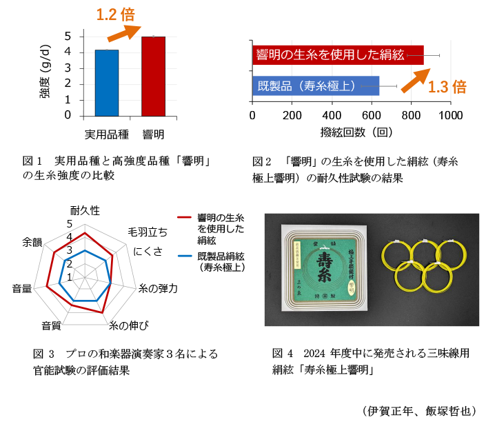 図1 実用品種と高強度品種「響明」の生糸強度の比較,図2 「響明」の生糸を使用した絹絃(寿糸極上響明)の耐久性試験の結果,図3 プロの和楽器演奏家3名による官能試験の評価結果,図4 2024年度中に発売される三味線用絹絃「寿糸極上響明」