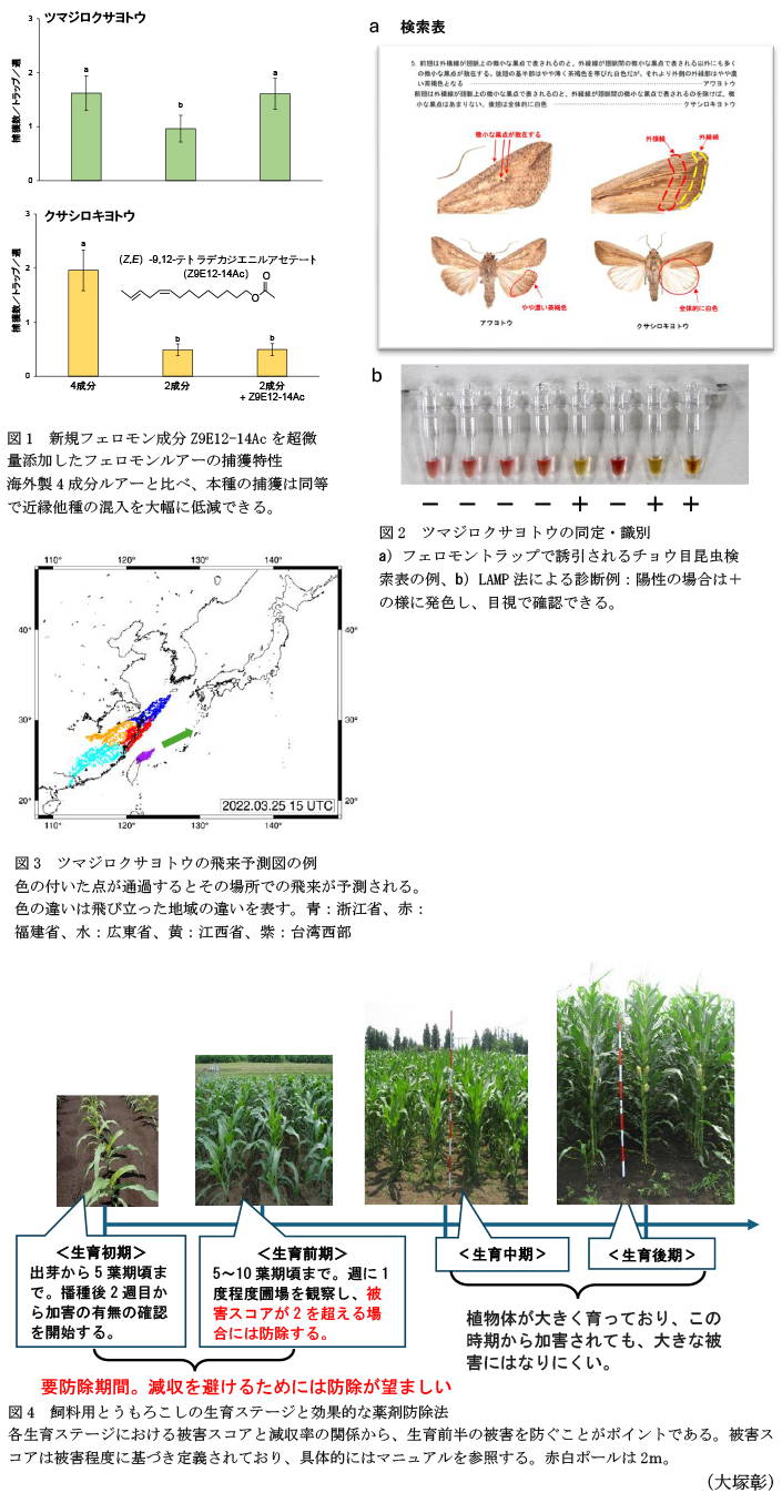 図4 信濃川流域で気候変動と生育期間の変化を考慮した場合のリスク,図2 ツマジロクサヨトウの同定・識別,図3 ツマジロクサヨトウの飛来予測図の例,図4 飼料用とうもろこしの生育ステージと効果的な薬剤防除法