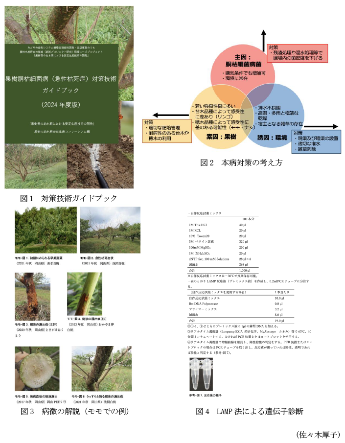 図1 対策技術ガイドブック,図2 本病対策の考え方,図3 病徴の解説(モモでの例),図4 LAMP法による遺伝子診断