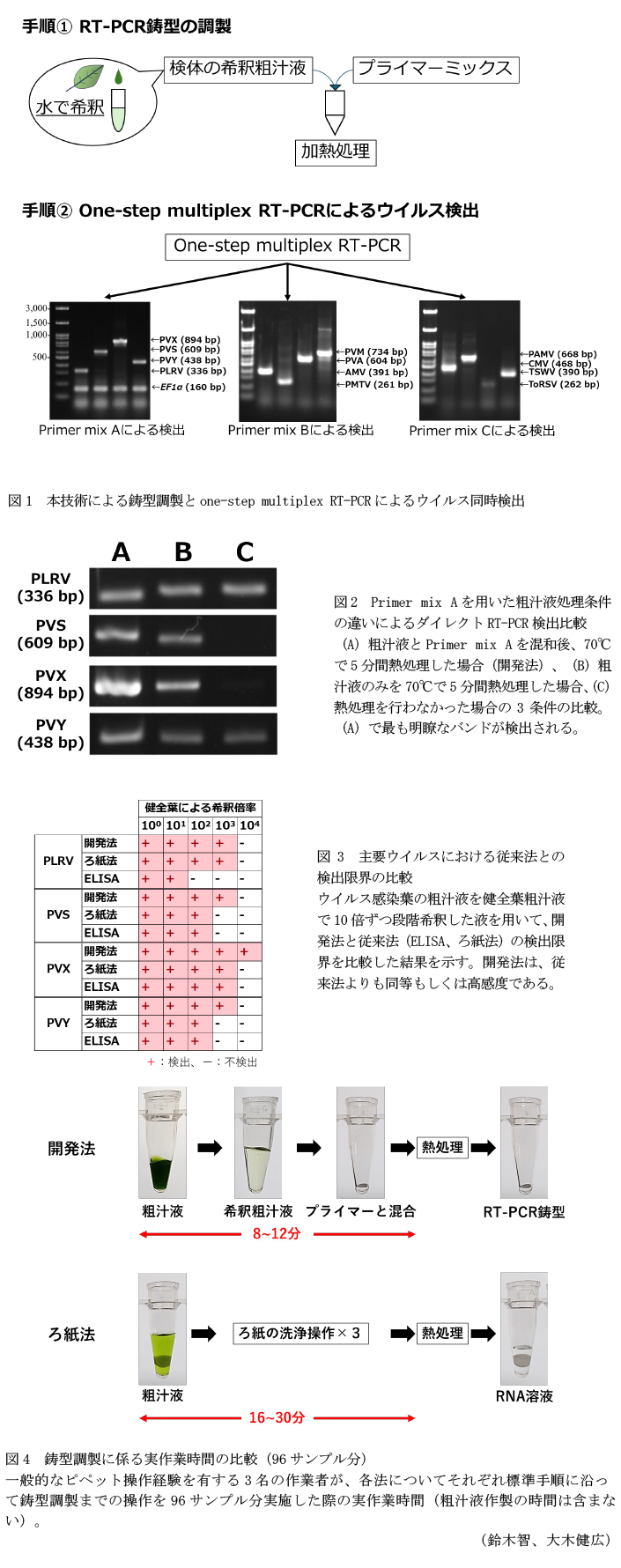 図1 本技術による鋳型調製とone-step multiplex RT-PCRによるウイルス同時検出,図2 Primer mix Aを用いた粗汁液処理条件の違いによるダイレクトRT-PCR検出比較,図3 主要ウイルスにおける従来法との検出限界の比較,図4 鋳型調製に係る実作業時間の比較(96サンプル分)