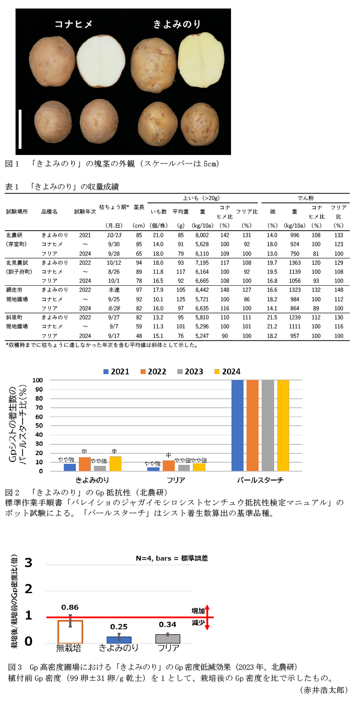 図1 「きよみのり」の塊茎の外観(スケールバーは5cm),表1 「きよみのり」の収量成績,図2 「きよみのり」のGp抵抗性(北農研),図3 Gp高密度圃場における「きよみのり」のGp密度低減効果(2023年、北農研)